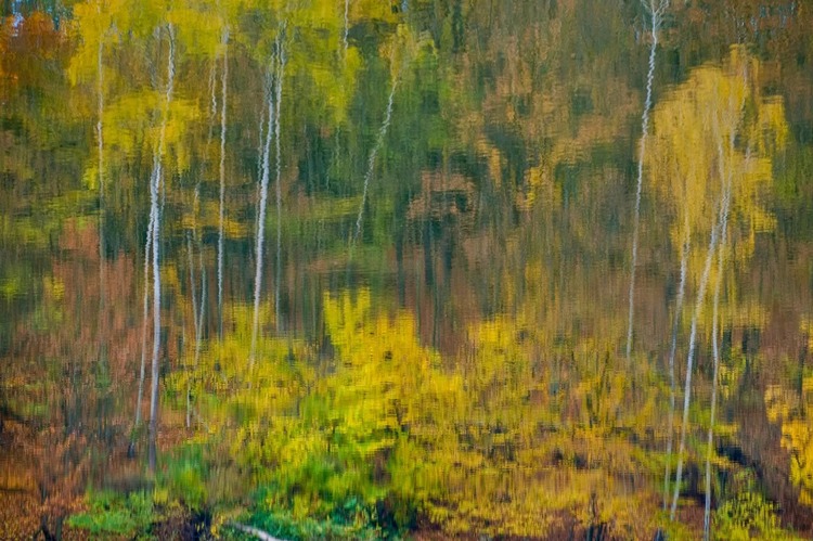 Jeseň🍂🍂🍂