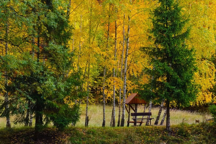 Jesenné ticho🍂🍂🍂