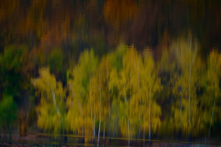 Jesenné  impresie 🍂🍂🍂