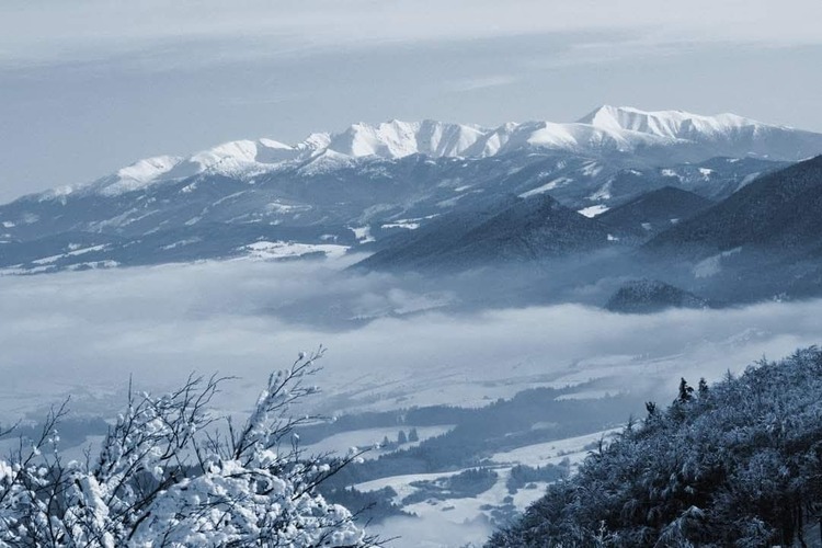 Nech je nový rok plný radosti, zdravia a splnených snov! 🥂