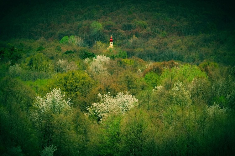 Ticho nie je prázdne.  Je plné odpovedí 🌿🌿🌿