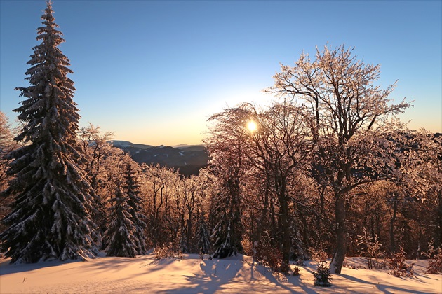 Mrazivé ránko 30.12.2016