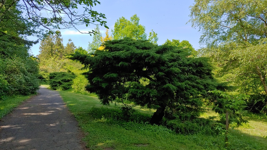 Arboretum Mlyňany