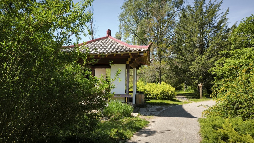 Arboretum 