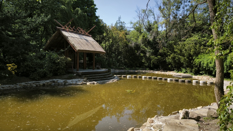 Arboretum 