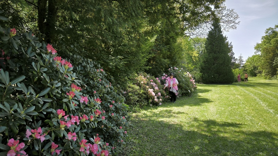 Arboretum 