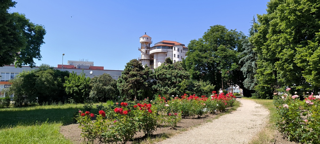 Levice