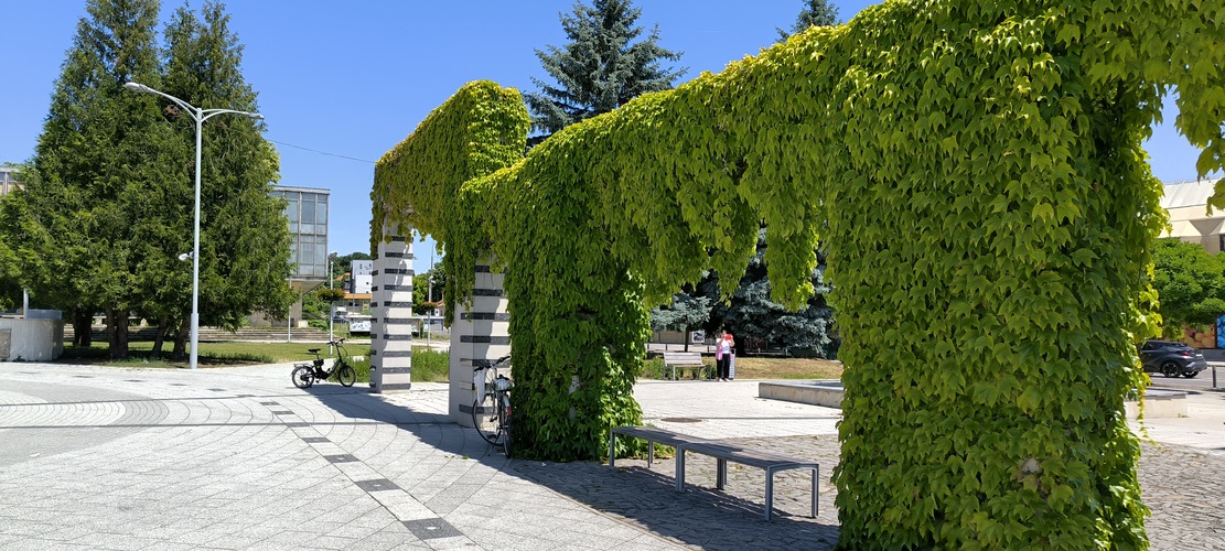 Levice