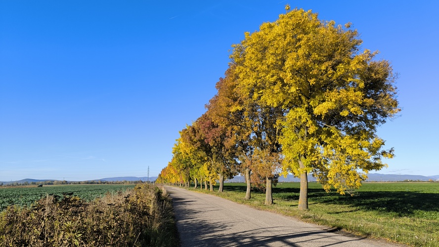 Jeseň 