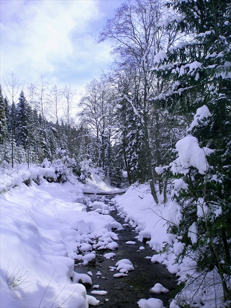 Zima na Kamennom potoku
