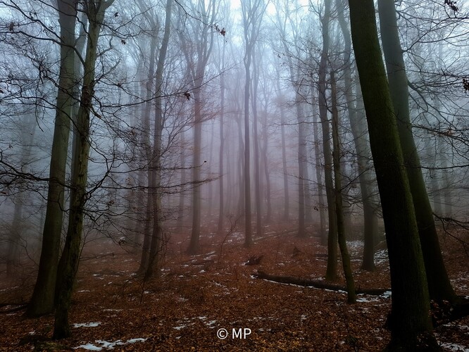 Na prelome jesene a zimy