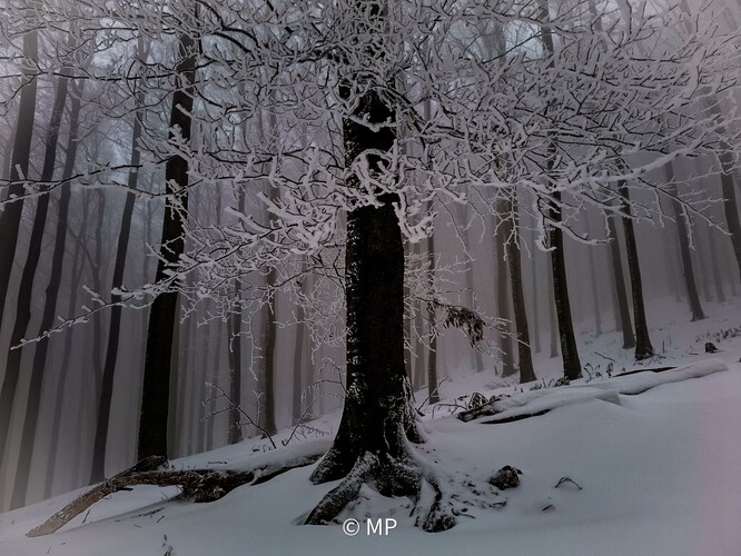 Prvá zimná nádielka