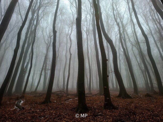 Prelom jesene a zimy