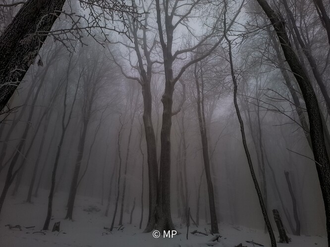 Prvá zima v Karpatoch