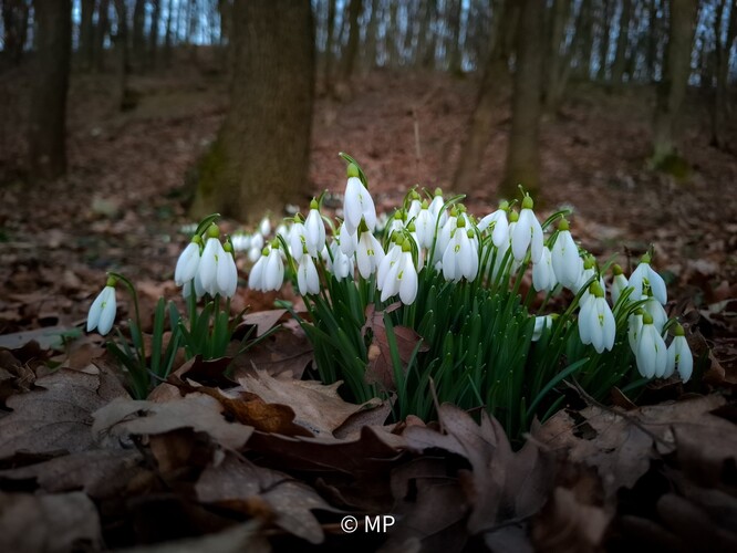 Na železnej studničke