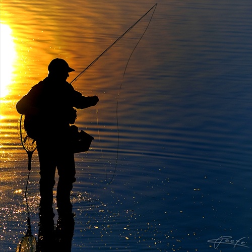 fisherman's morning