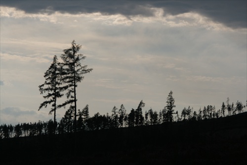 tatry