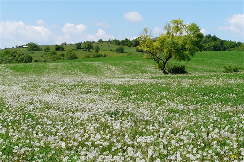 Čakáme na vietor