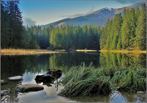 Vrbické pleso