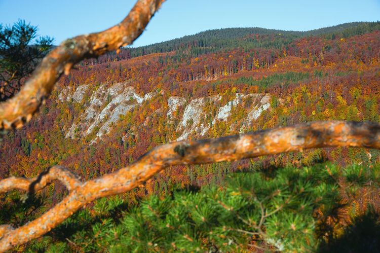 Muránska planina na jeseň