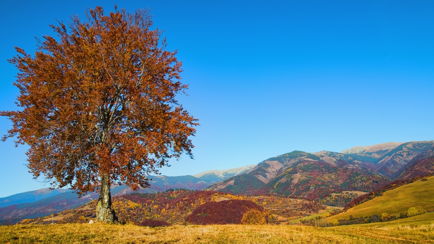 jesenná panoráma Nízkych Tatier (Pohanské, jeseň 2021)