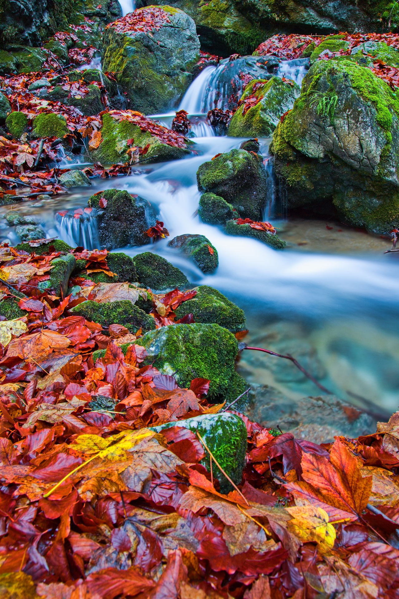jesenným potokom