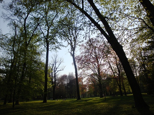 jar v parku