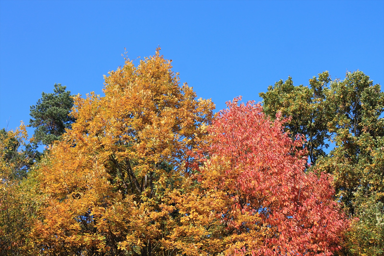 Jesenné farby