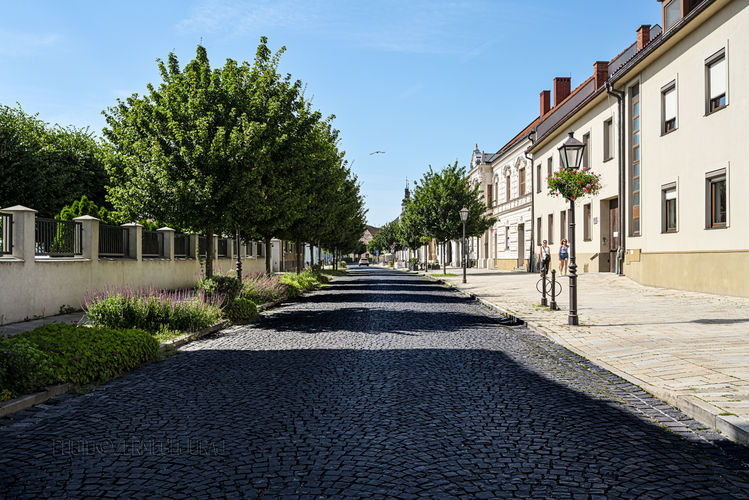 Trnavskými uličkami - Halenárska II.