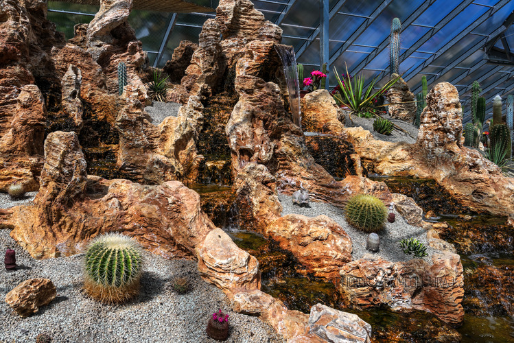 Svet kaktusov - V sklenníku II.