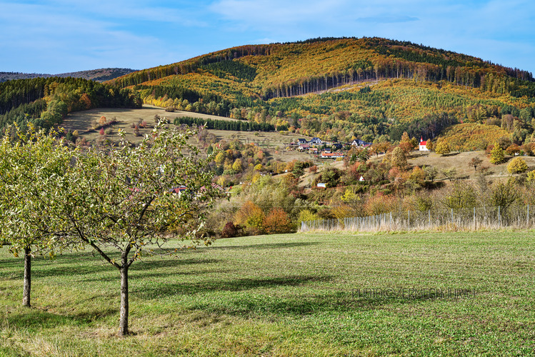Brumov-Bilnice... 