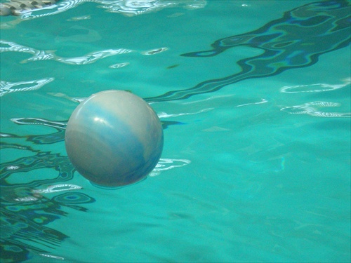 Lopta v bazene