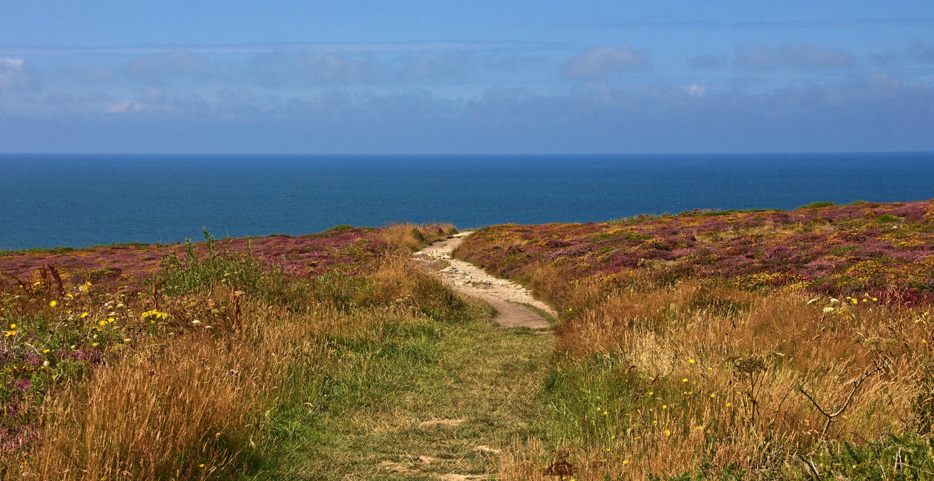 Path to cliff