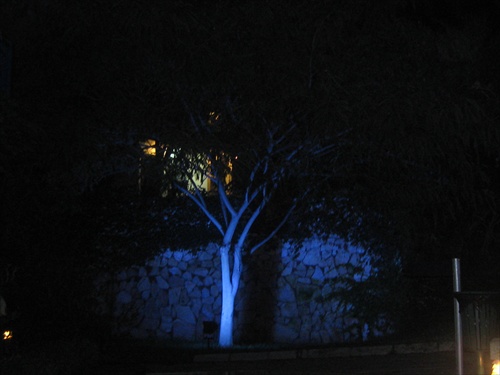 modrý strom