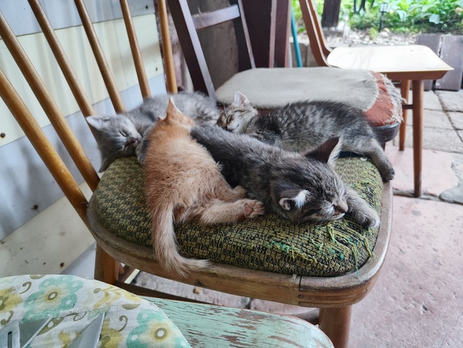 Letný Relax