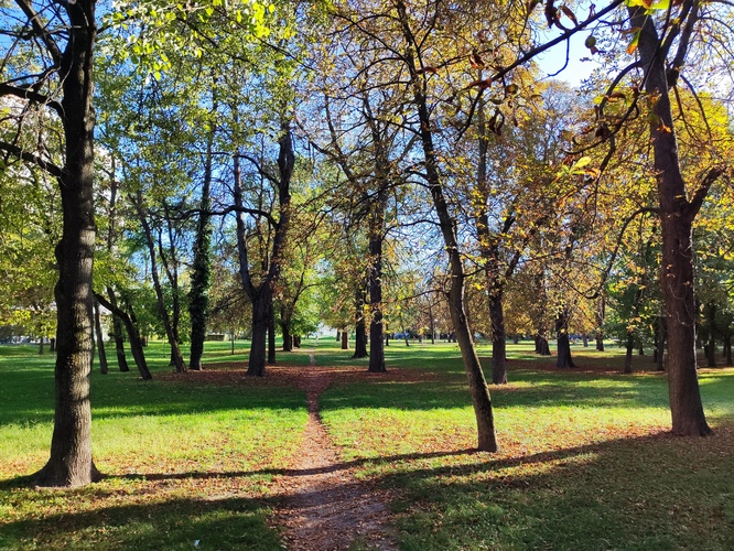 Park Anglia na jeseň
