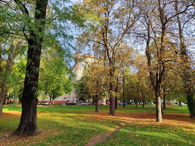 Park Anglia na jeseň