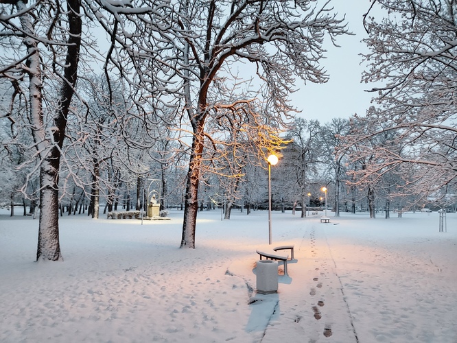 Nedeľné ráno v snehu