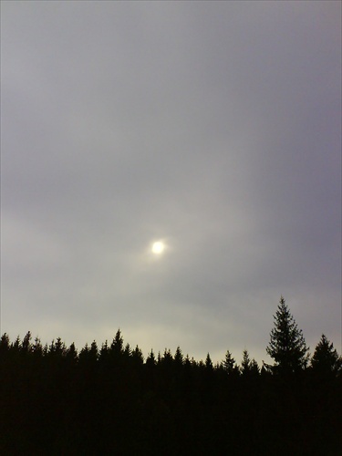 Slnko vykúka spoza Tatranských smrekov