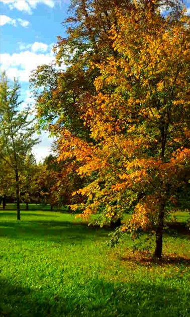 jesenný park