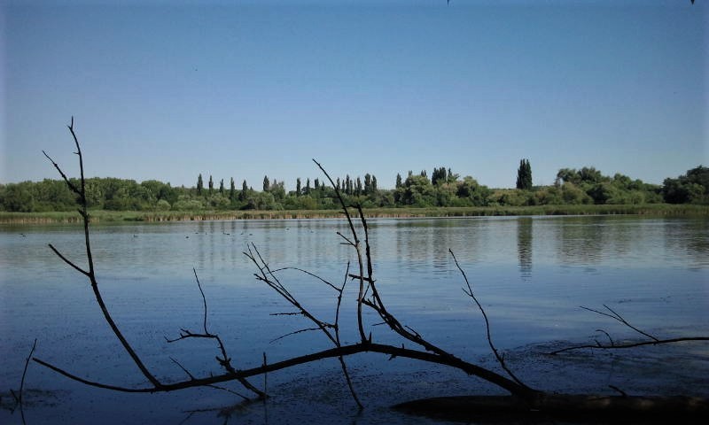 trnavské rybníky 2