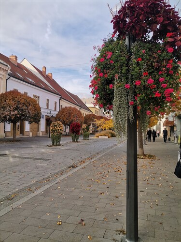 Trnava