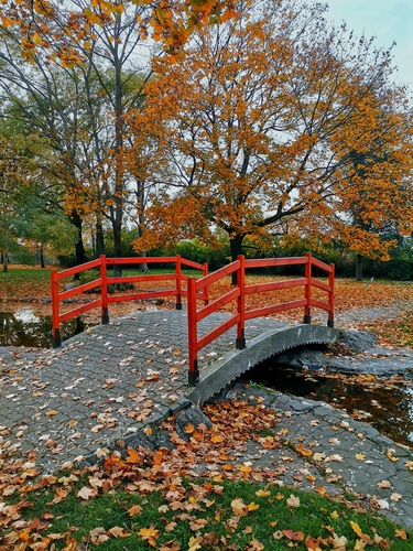 jesenný park