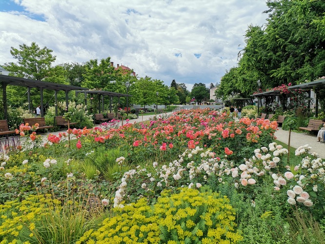 Ružový park-Trnava