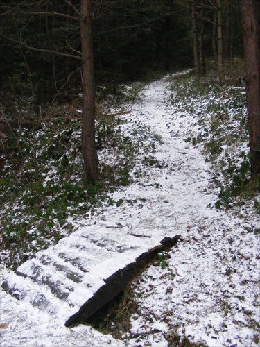 Lesný chodník