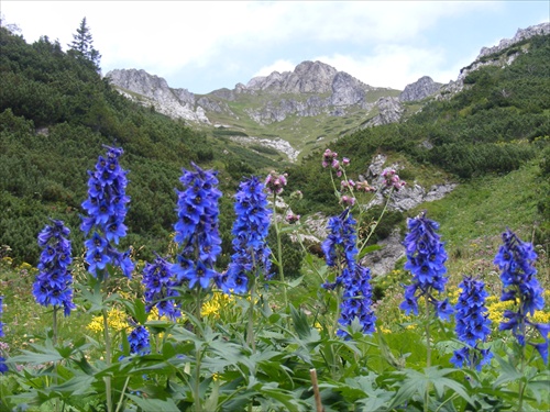 Belianske Tatry