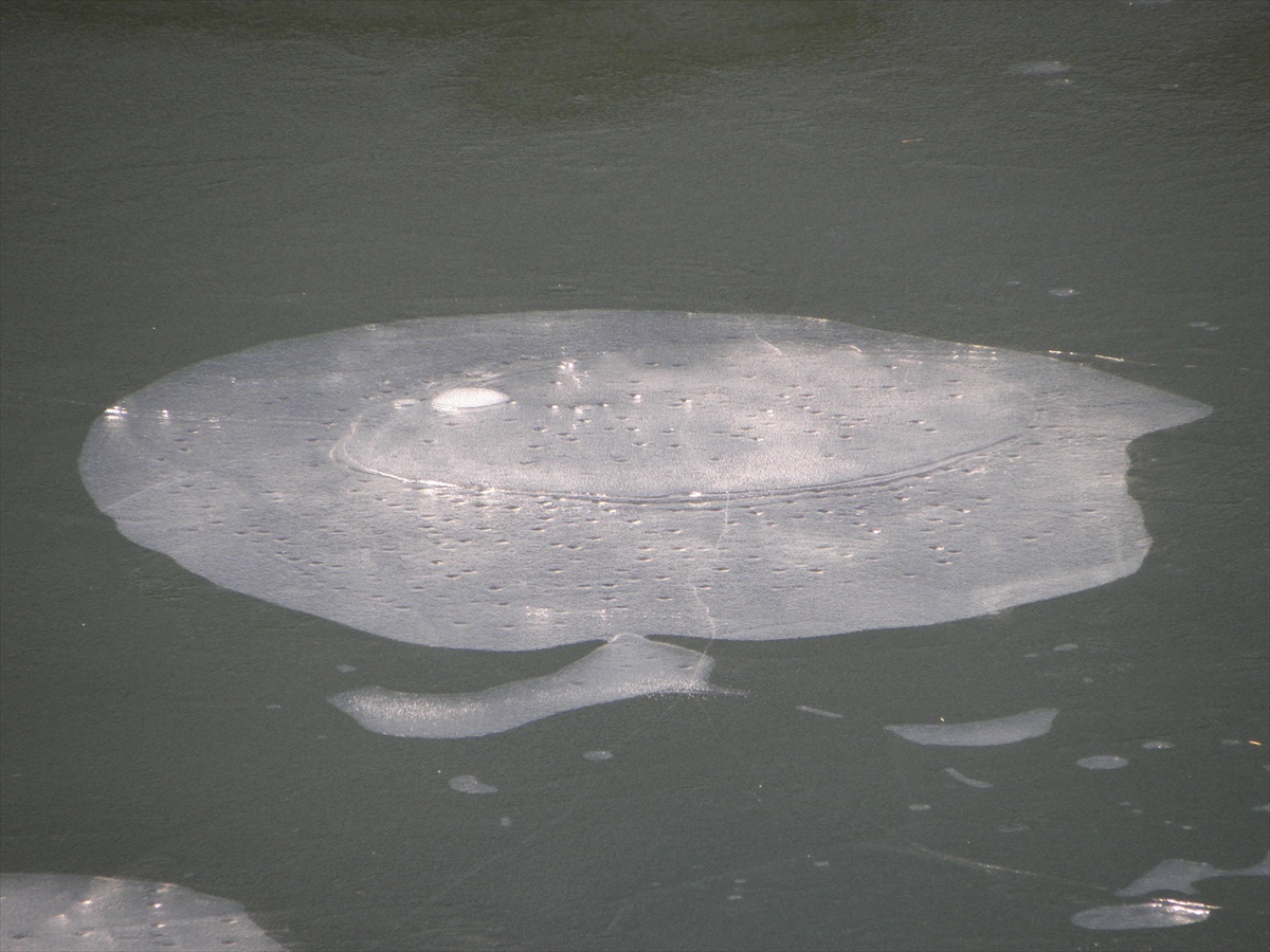 Ľad na hladine