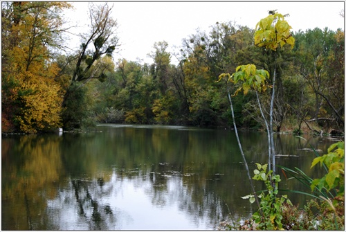 Dunajská delta