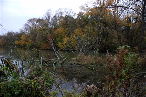 Dunajská delta