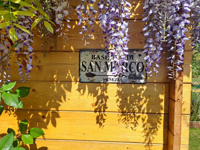 Visteria